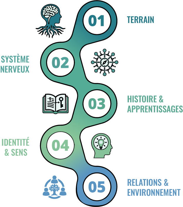 IntegrativPsy approche infographie